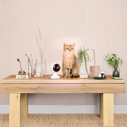 Láser automáticos para gatos